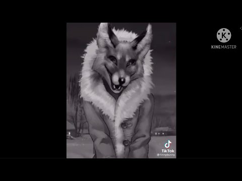 Видео: Видео Tiny Bunny из Tik Tok #1
