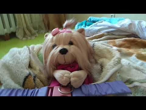 Видео: Влог с Мияй Мы болеем