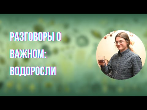 Видео: О самом главном и жизненных циклах: Водоросли | Евгений Губанов
