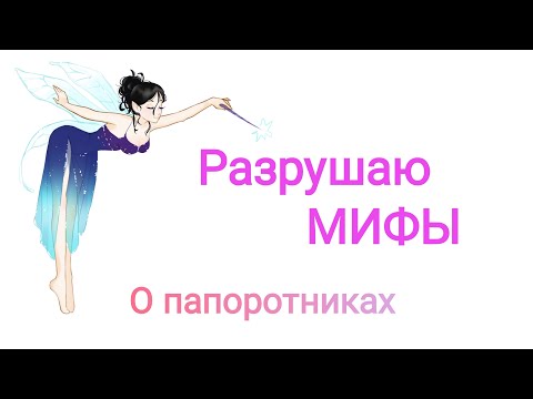 Видео: Про папоротники, отопление, опрыскивание, влажность и прочее...