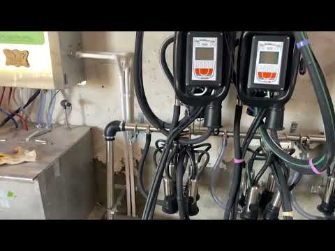 Видео: PANAZOO JETTOUCH +  доение с автосьемом в летнем лагере.