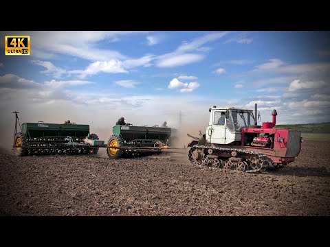 Видео: Гусеничный трактор Т-150 с тремя модернизированными сеялками СЗ-3,6 - посевная 2020