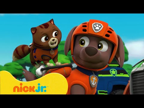 Видео: Щенячий патруль | В поисках призраков в лесу! | Nick Jr. Cyrillic