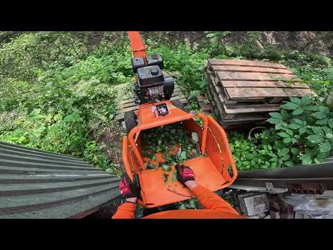 Видео: Zimani MS460 в работе.  Аброристика