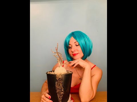 Видео: Ночные пересадки с Урсулой. Fockea edulis