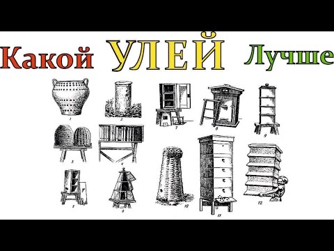 Видео: Какой улей ЛУЧШЕ Тип улья