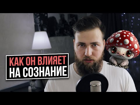 Видео: КАК РАБОТАЕТ МИКРОДОЗИНГ МУХОМОРА? (МОЙ ОПЫТ)