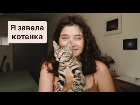 Видео: В доме кто-то появился… | Моя мечта сбылась ✨