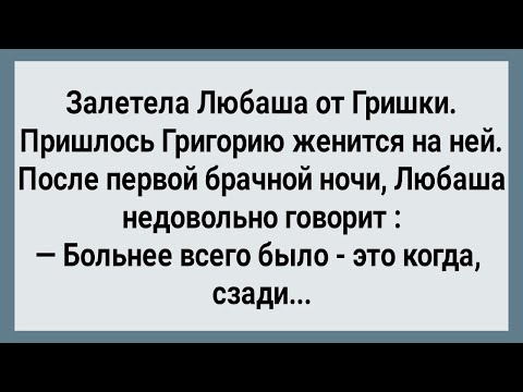 Видео: Как Любаша от Гришки Залетела! Сборник Свежих Анекдотов! Юмор!