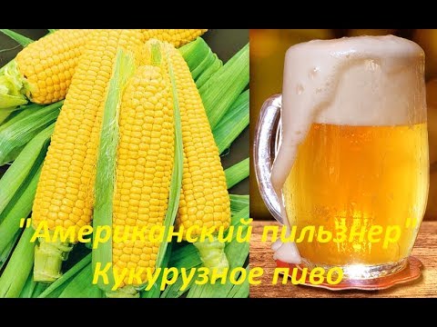 Видео: Пиво из кукурузы - "Американский пильзнер"!