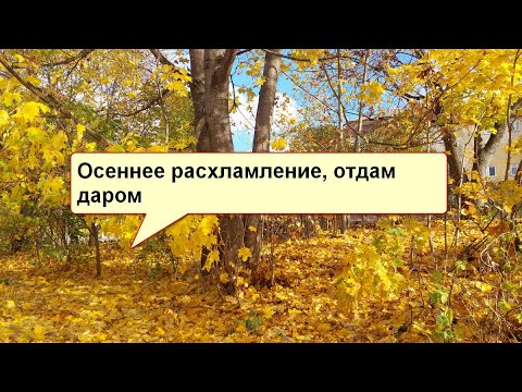 Видео: влог - заказ с Тему, расхламление, цветы моего детства