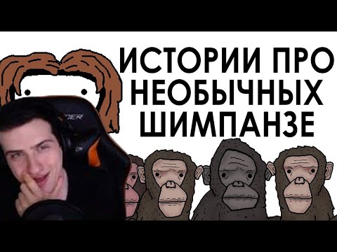 Видео: Hellyeahplay смотрит: Истории про необычных шимпанзе - Академия Сэма Онеллы (Озвучка Rumble)