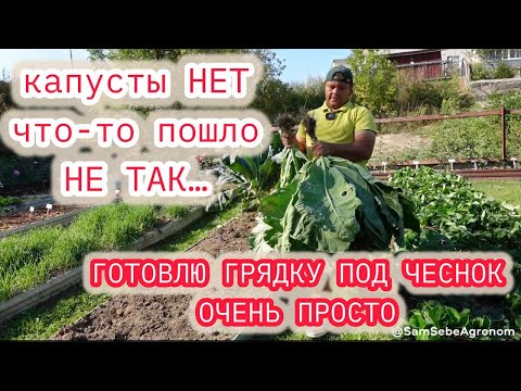 Видео: ЧТО-ТО ПОШЛО НЕ ТАК или как подготовить грядку под посадку чеснока.