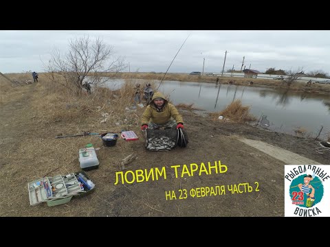 Видео: Ловим тарань в Приморско-Ахтарске. Рыбалка на поплавок, пеленгас. Рыбалка на тарань в феврале