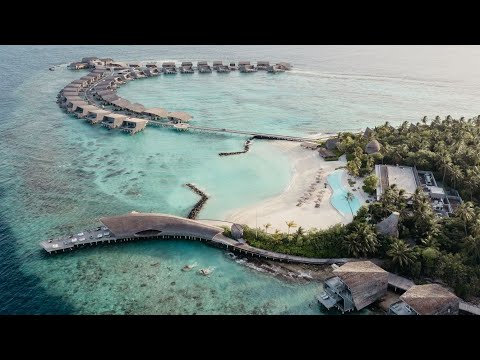 Видео: The St. Regis Maldives Vommuli Resort - воплощение «тихой» роскоши.