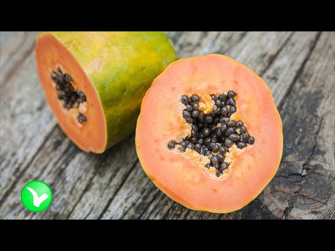 Видео: Папайя. В чем особенность фрукта. Польза и вред папайи.