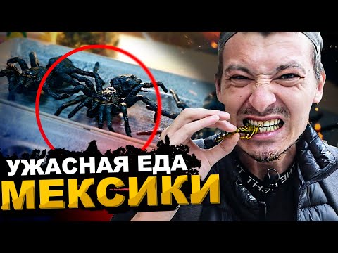 Видео: МЕРЗКАЯ ЕДА МЕКСИКИ 2022. Гусеницы, Тухлый фрукт Нони, ЭСКАМОЛЕС. Обзор и цены. street food Mexico