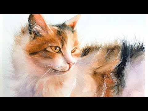 Видео: Нарисуйте #WithMe этого трехцветного кота акварелью