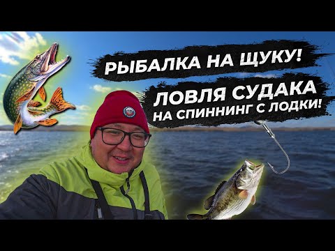 Видео: ЩУКА И СУДАК НА ДЖИГ. Рыбалка на спиннинг с лодки. Ловля судака. Щука на джиг. Супер клев. fishing
