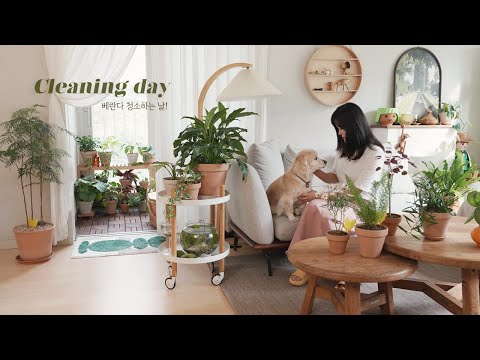 Видео: Уложить сборный пол? 🌱День уборки балкона с растениями | Уход за растениями на лето