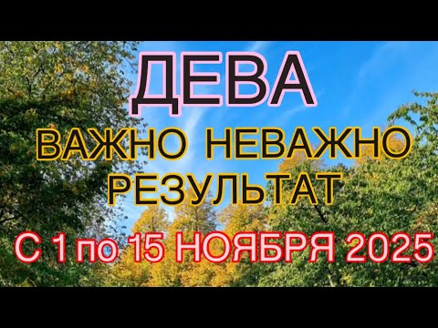 Видео: ДЕВА -  С 01  ПО 15  НОЯБРЯ  2025 | ВАЖНО! | НЕ ВАЖНО! | РЕЗУЛЬТАТ | ПРОГНОЗ ОТ NATALLIA  MARKOWSKA
