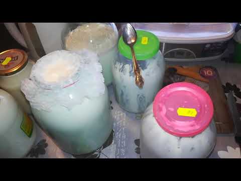 Видео: У коровы горчит молоко. Причины и их решение