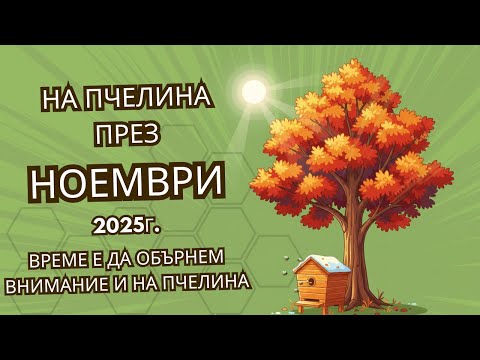 Видео: Най - важното за пчелите през Ноември. Време е да се погрижим и за пчелина.