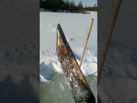 Видео: Обзор Пешней Для Раскола Льда