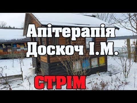 Видео: Апітерапія. Доскоч І.М. Бджільництво. Стрім