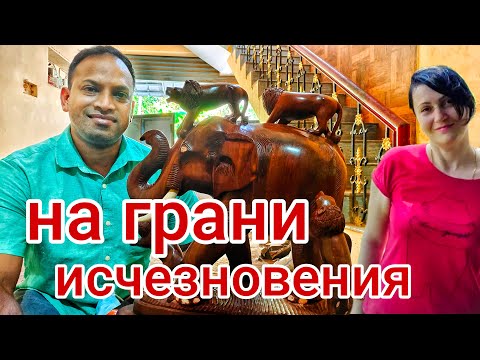 Видео: Древнее Искусство Резьбы по Дереву в Индии #индия