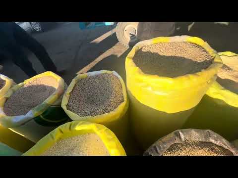 Видео: ем хашак нархлари богат молбозори 