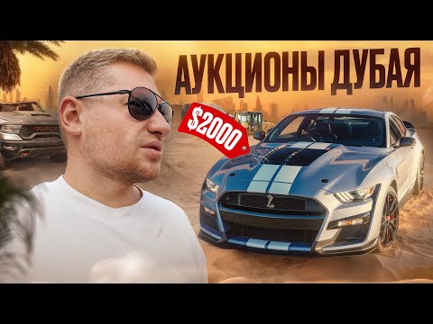 Видео: Аукционы в Дубае. Как легко заработать на машинах