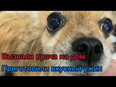 Видео: Скучные дни на больничном!🫣🤧