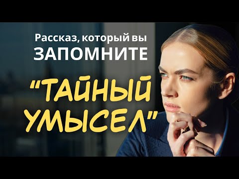 Видео: Жена молчала пока муж воровал из её компании, когда жена начала разговор за ужином, он был ошеломлен