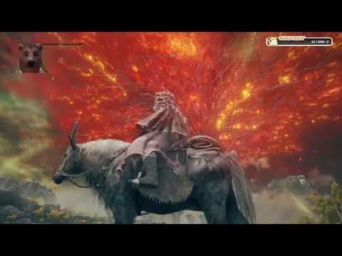 Видео: Elden Ring серия №12 Новое прохождение, делаем паладина.