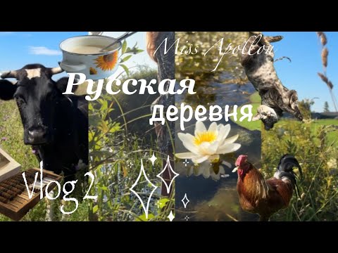 Видео: 2 day/ День в Русской деревне🐄🌾🥞 животные, застолья, природа, тишина