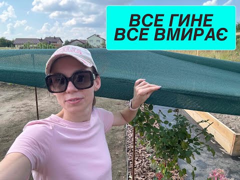 Видео: Як спасати? Що робити?