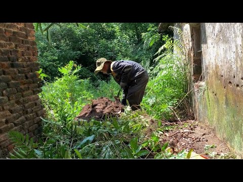Видео: Помогите сообществу привести в порядок дом, заброшенный 50 лет назад. Невероятная трансформация.