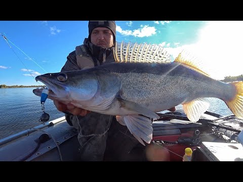 Видео: ТРОФЕЙ ЗА ТРОФЕЕМ!!РЫБАЛКА МЕЧТЫ НА ОБИ!! Джиг по холодной воде, Крупный судак,щука,мандулы Лидер.