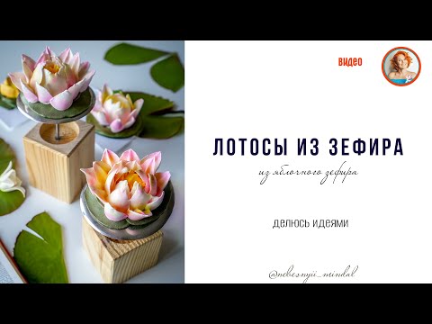 Видео: Лотосы из зефира