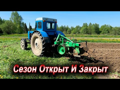 Видео: Т-40 / Пахота 2025 / Посадка Картошки
