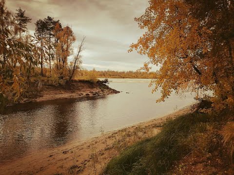 Видео: Грунт Cycling \ 253 км с палатками на берег реки Тавды //до деревни Антипино//