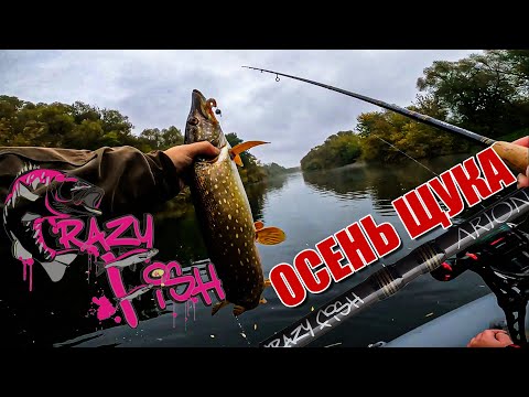 Видео: Ловля щуки и окуня в середине осени | Трофейчик на приманку с AliExpress | Ищу рыбу на реке