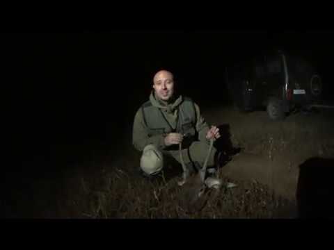 Видео: ОХОТА НОЧЬЮ на ОЛЕНЯ.