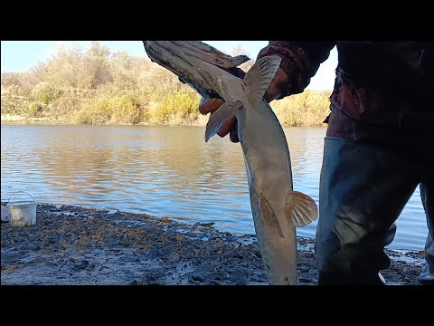 Видео: Проверка закидушек.27.09.25г.
