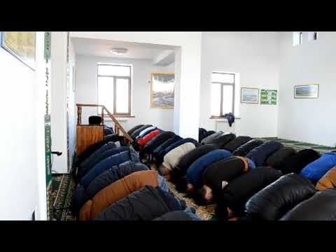 Видео: Бөлтірік Шешен Ауылы