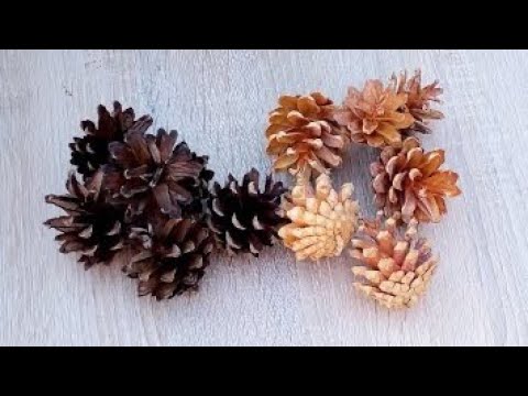 Видео: Осветление шишек. Как отбелить шишки. Обесцвечивание сосновых шишек. Осветление сухоцветов