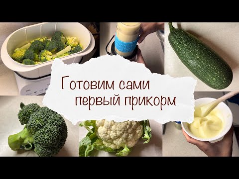 Видео: КАК ПРИГОТОВИТЬ ДЕТСКОЕ ПИТАНИЕ ДОМА 👩‍🍳 ПЕРВЫЙ ПРИКОРМ 🥦 ГОТОВИМ САМИ ОВОЩИ