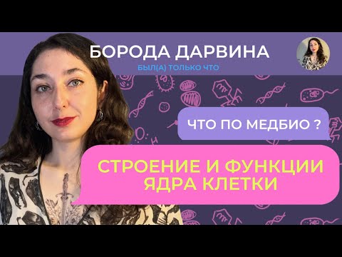Видео: Строение и функции ядра. Медбио.