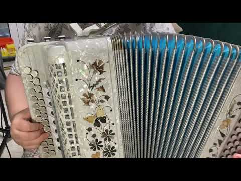 Видео: «От людей на деревне не спрятаться» | Звучание нот на гармони